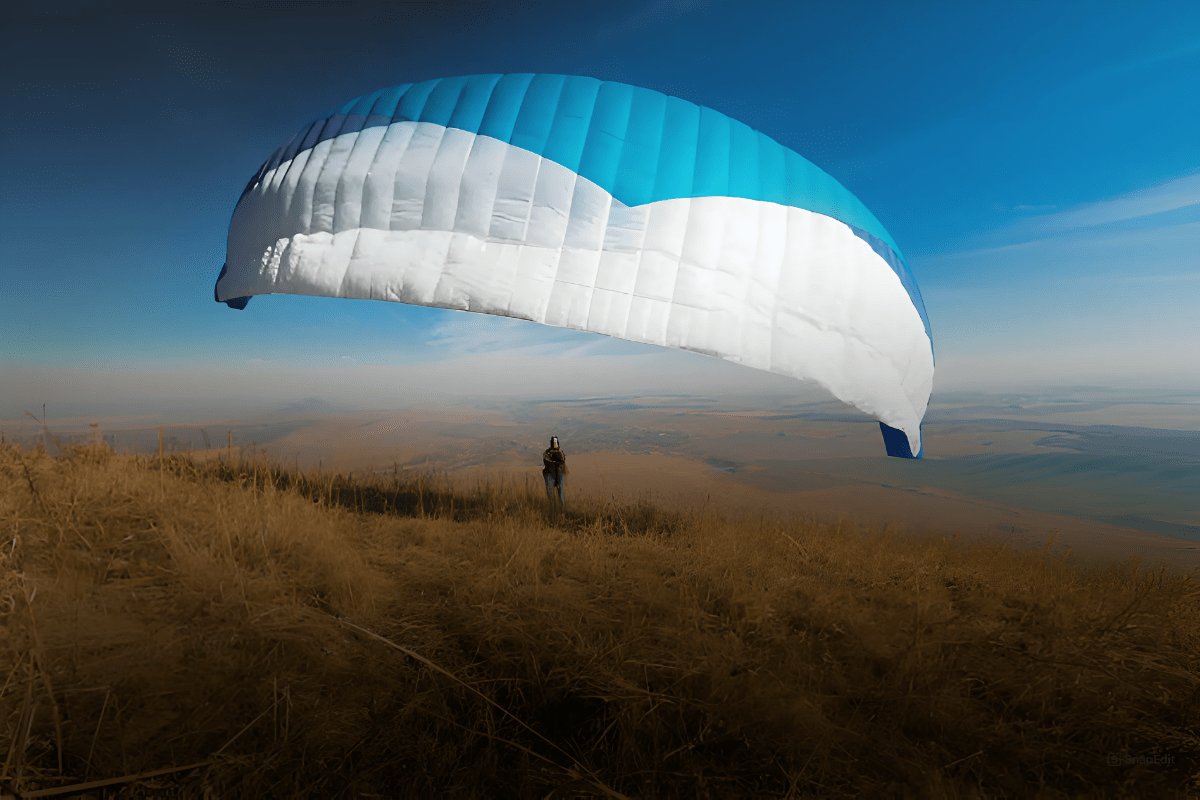 Wing over open landscape