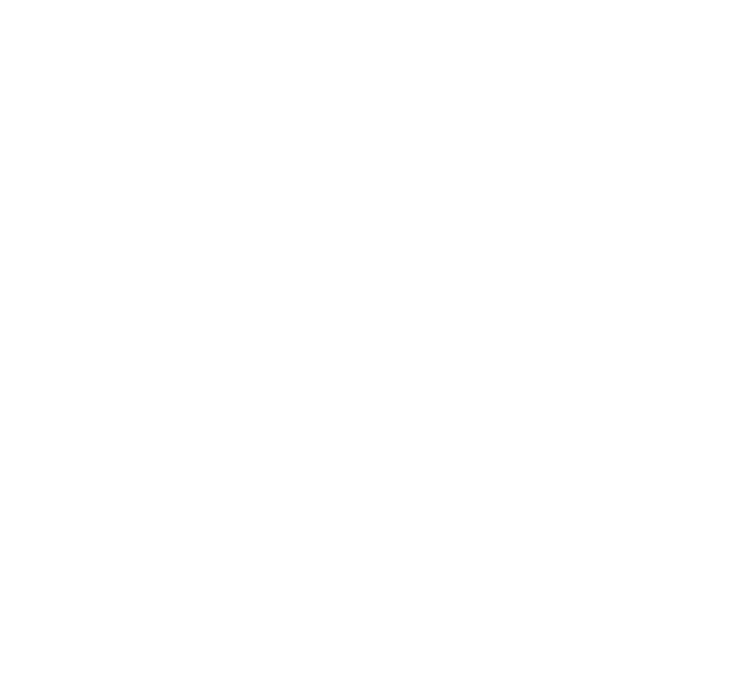 100% Customer Satisfaction